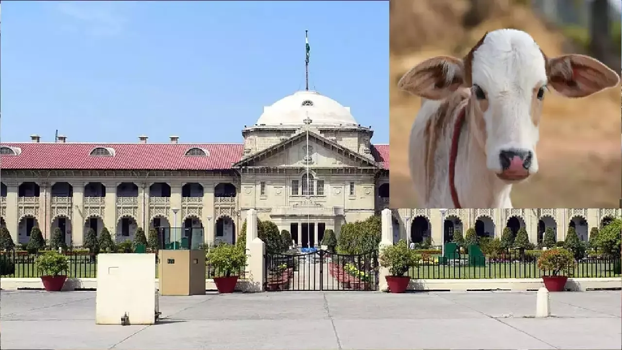  ଗୋ-ହତ୍ୟା କରୁଥିବା ବ୍ୟକ୍ତି ନର୍କକୁ ଯିବା ଯୋଗ୍ୟ । ଏହ୍ଲାବାଦ ହାଇକୋର୍ଟ କହିଲେ, ତୁରନ୍ତ କେନ୍ଦ୍ର ସରକାର ଆଣନ୍ତୁ ଆଇନ ।