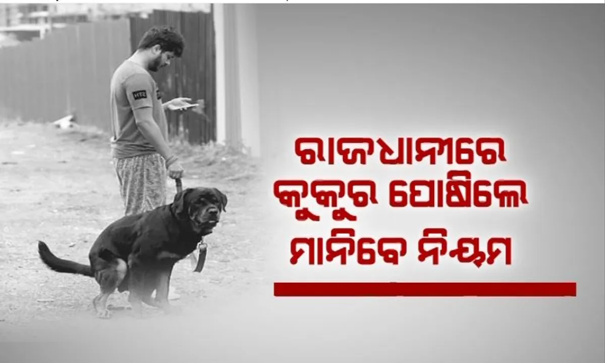  ରାଜଧାନୀରେ କୁକୁର ପୋଷିଲେ ମାନିବେ ନିୟମ। ରାସ୍ତାକଡରେ ମଳତ୍ୟାଗ ମନା, ଗଣିବେ ୧୦ ହଜାର।
