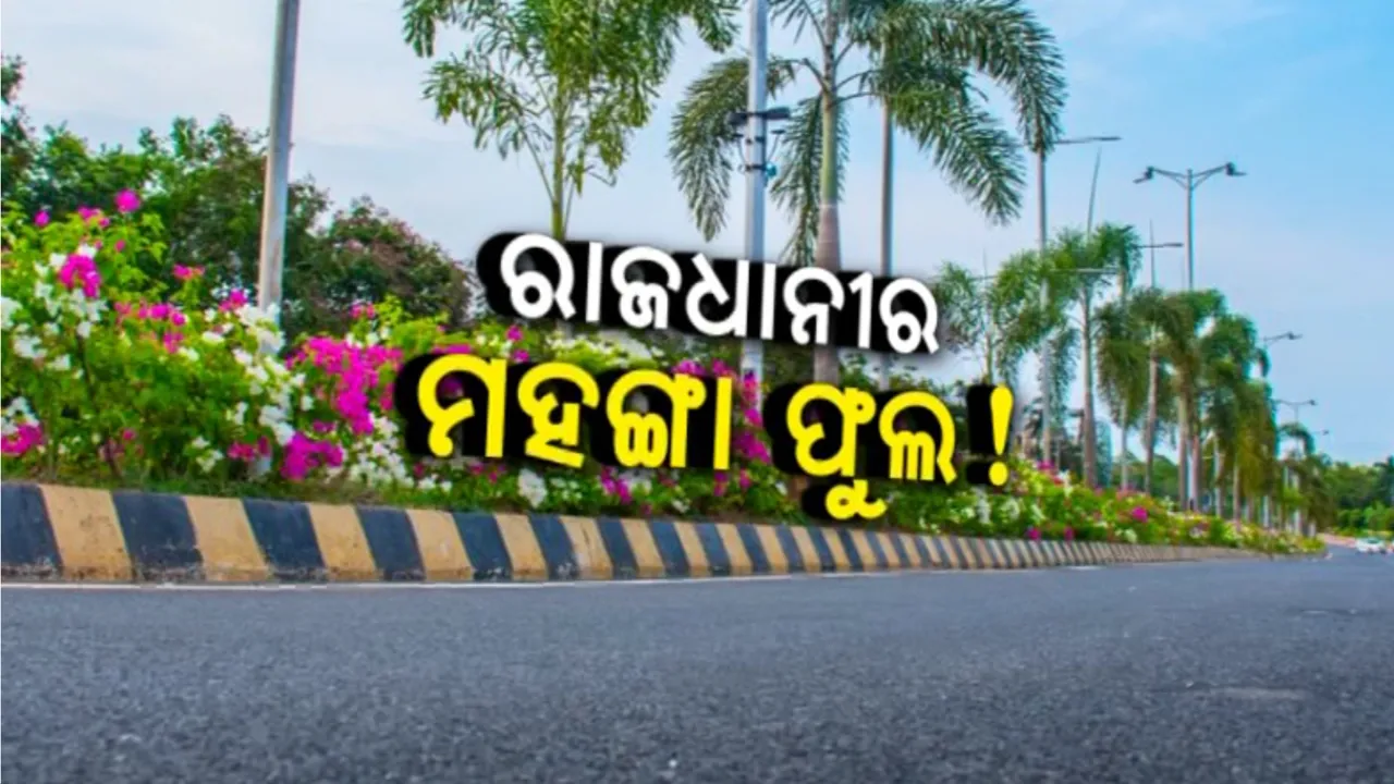  ରାଜଧାନୀର ମହଙ୍ଗା ଫୁଲ! ୨୦୨୦-୨୧ରେ ଖର୍ଚ୍ଚ ପ୍ରାୟ ୩ କୋଟି