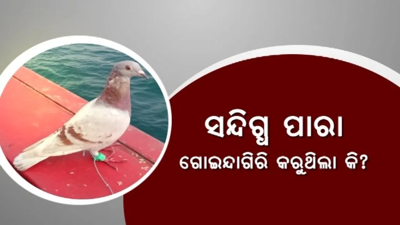  ଓଡ଼ିଶାରେ ସନ୍ଦିଗ୍ଧ ପାରାକୁ ନେଇ ବଢ଼ିଲା ଆଶଙ୍କା । ଭାରତରେ ଗୁଇନ୍ଦାଗିରି କରୁଛି କି ଡ୍ରାଗନ ? ସିଏଫଏସଏଲରେ ହୋଇପାରେ ପାରାର ଡିଏନଏ ପରୀକ୍ଷା