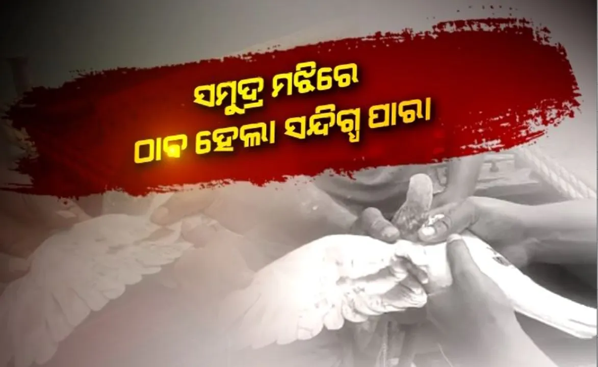 ସମୁଦ୍ର ମଝିରେ ଠାବ ହେଲା ସନ୍ଦିଗ୍ଧ ପାରା। ପାରାର ଗୋଡରେ ଲାଗିଛି ଚିପ୍।