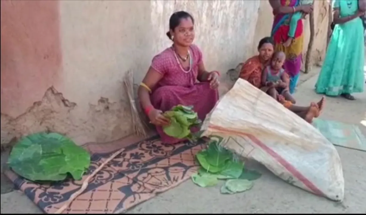  ପ୍ରକୃତି ଦେଉଛି ରୋଜଗାର। କୋରାପୁଟରେ ଜଙ୍ଗଲରୁ ଶାଳ ଓ ଶିଆଳି ପତ୍ର ସଂଗ୍ରହ କରି ତିଆରି କରୁଛନ୍ତି ଖଲିପତ୍ର।