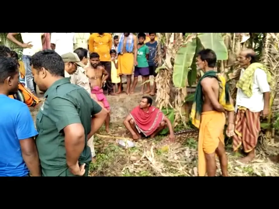  ମନ୍ଦିର ଗେଟରେ ଫସିଲା ହରିଣ ମୁଣ୍ଡ, ଉଦ୍ଧାର କଲେ ଗ୍ରାମବାସୀ
