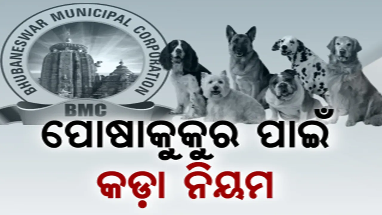  ପୋଷା କୁକୁରଙ୍କ ପାଇଁ ଆସିବ କଡା ନିୟମ। କାମୁଡ଼ିଲେ ସର୍ବାଧିକ ୧୦ହଜାର ଜରିମାନା!