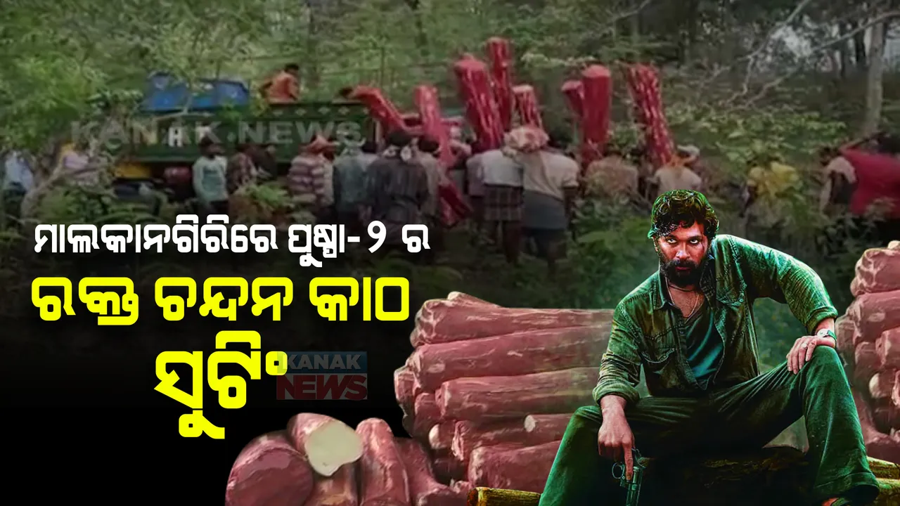  ଘଞ୍ଚ ଜଙ୍ଗଲରେ ପୁଷ୍ପା -୨ର ସୁଟିଂ