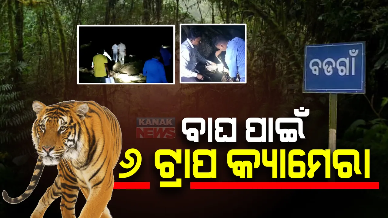  ବାଲିଗୁଡା ବଡ଼ଗାଁ ଖଡଗ ନଦୀ କୂଳରେ ବାଘ ଆତଙ୍କ : ବିଭିନ୍ନ ସ୍ଥାନରେ ଲାଗିଲା ୬ଟ୍ରାପ କ୍ୟାମେରା; ଗୁଜବ ଉପରେ ବିଶ୍ୱାସ ନକରିବାକୁ ବନ ବିଭାଗର ଅନୁରୋଧ