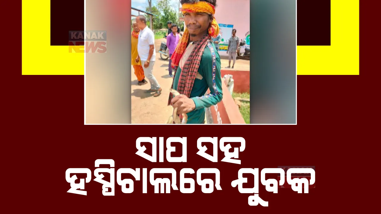  ସାପ କମୁଡ଼ାର ଶିକାର ହୋଇ ଜୀବନ୍ତ ସାପ ସହ ମେଡିକାଲରେ ପହଞ୍ଚିଲେ ରୋଗୀ। ଚମ୍ପୁଆ ଉପଖଣ୍ଡ ବାସୁଦେବପୁରରୁ ଆସିଲା ଚିତ୍ର।