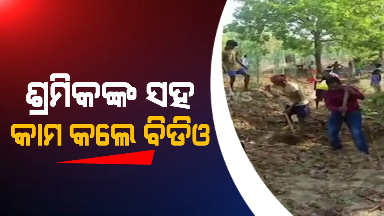  ଶ୍ରମିକଙ୍କ ସହ ମିଶି କାମ କଲେ ବିଡିଓ : ଲୋକେ କାମ କରୁଥିବା ଜାଗାକୁ ଯାଇ ମାଟି ହାଣିବା ସହ ମୁଣ୍ଡକୁ ଉଠାଇଲେ ଝୁଡ଼ି