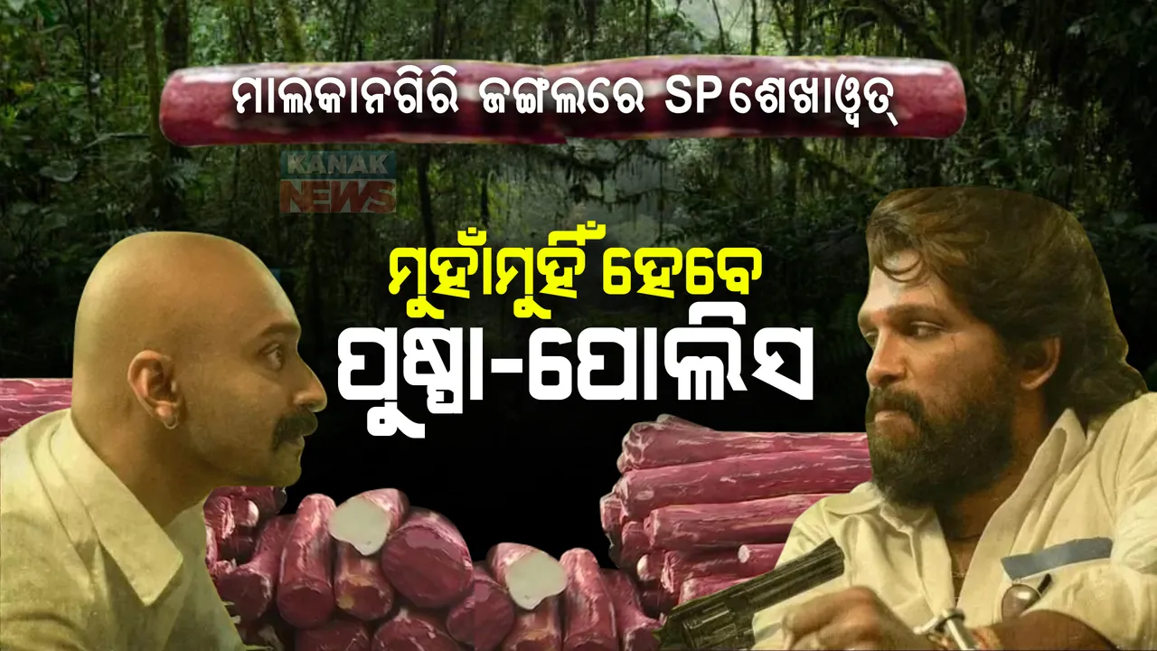  ସିଲେରୁ ନଦୀ କୂଳରୁ ଚନ୍ଦନ କାଠ ଚାଲାଣ କରିବ ପୁଷ୍ପା । ଖବର ପାଇ ମାଲକାନଗିରିର ଘଞ୍ଚ ଜଙ୍ଗଲରେ ପହଞ୍ଚିଲେ ଏସପି ଶେଖାୱତ ।
