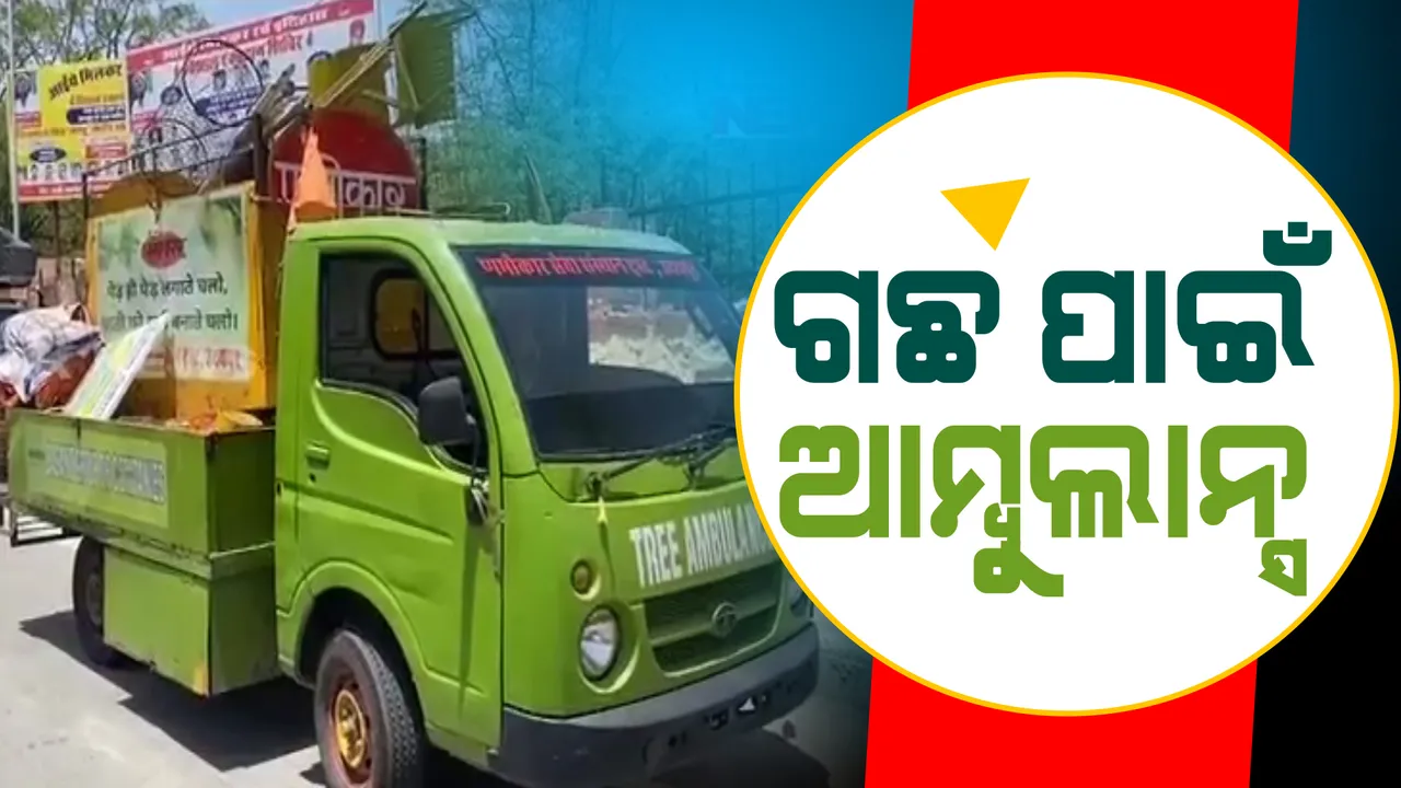  ଗଛ ପାଇଁ ରାସ୍ତାରେ ଗଡୁଛି ଆମ୍ବୁଲାନ୍ସ । ଗଛଲତାଙ୍କର ନେଉଛି ସମ୍ପୂର୍ଣ୍ଣ ଯତ୍ନ