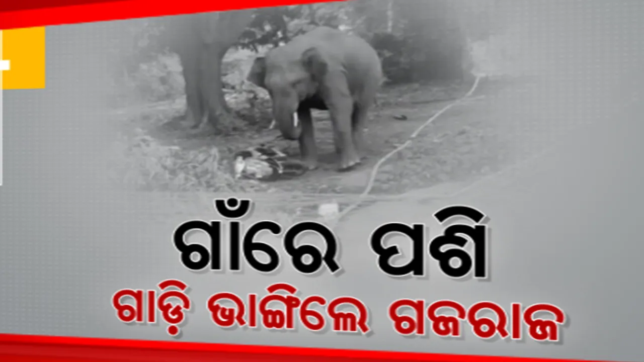  ଗାଁକୁ ଗାଁ ଘୁରି ବୁଲୁଛି ଦନ୍ତା। ଅନୁଗୁଳ ପୋକତୁଙ୍ଗା ଗାଁରେ ପଶି ବାଇକ୍ ଭାଙ୍ଗିଦେଲା ଗଜରାଜ