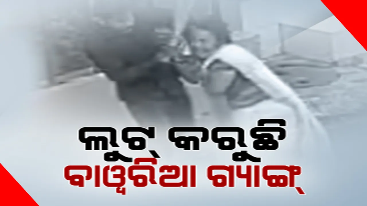  ଓଡ଼ିଶାରେ ମାତିଛନ୍ତି ଦୁର୍ଦ୍ଦାନ୍ତ ‘ବାୱରିଆ ଗ୍ୟାଙ୍ଗ’ । ଆଖି ପିଛୁଳାକେ ଛିନତାଇ କରି ହୋଇଯାଆନ୍ତି ଅନ୍ତର୍ଦ୍ଧାନ । ପିଛା କରି କାବୁ କଲା କମିସନରେଟ୍ ପୁଲିସ ।