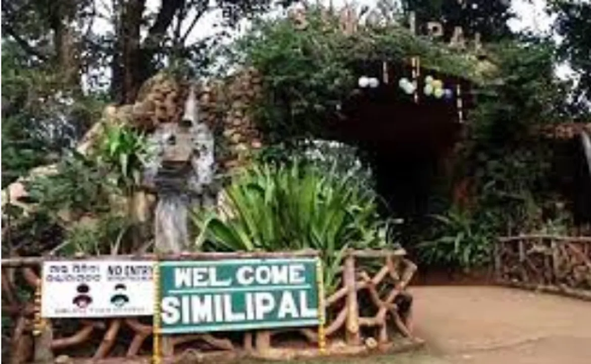  ଫରେଷ୍ଟ ଗାର୍ଡଙ୍କୁ ହତ୍ୟା ମାମଲା : ପିସିସିଏଫ କହିଲେ ହେବ କଡା କାର୍ଯ୍ୟାନୁଷ୍ଠାନ; ଭଉଣୀଙ୍କ ଅଭିଯୋଗ ବାଡି ଖଣ୍ଡେ ଦେଇ ଜଗା ଯାଉଛି ଜଙ୍ଗଲ