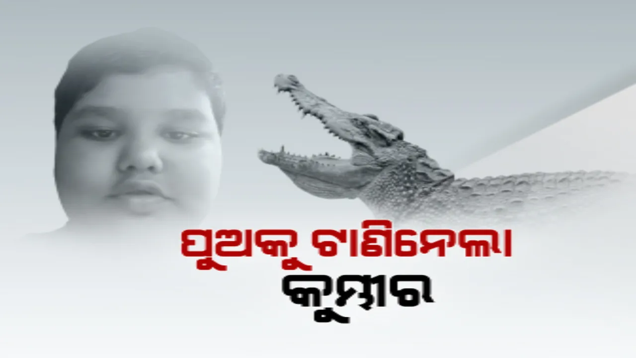 ମା’ ହାତରୁ ପୁଅକୁ ଝାମ୍ପିନେଲା କୁମ୍ଭୀର: ମିଳିଲା କ୍ଷତବିକ୍ଷତ ମୃତଦେହ
