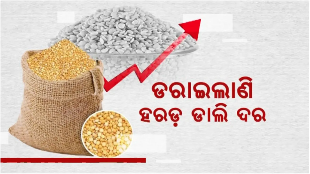  ଡରାଇଲାଣି ହରଡ଼ ଡାଲି ଦର: ୬ ମାସରେ ବଢିଲାଣି ୪୦ ଟଙ୍କା