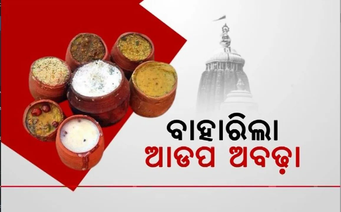  ଚାଲିଛି ଆଡ଼ପ ଦର୍ଶନ। ଜନ୍ମବେଦୀରେ ମହାପ୍ରଭୁଙ୍କ ଦର୍ଶନ କରି ଭାବବିହ୍ୱଳ ହେଲେ ଭକ୍ତ