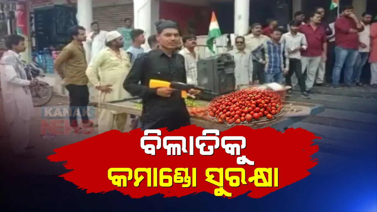 ମଧ୍ୟପ୍ରଦେଶରେ ପରିବା ଶୋଭାଯାତ୍ରା, ବିଲାତିକୁ ଦିଆଗଲା କମାଣ୍ଡୋ ସୁରକ୍ଷା