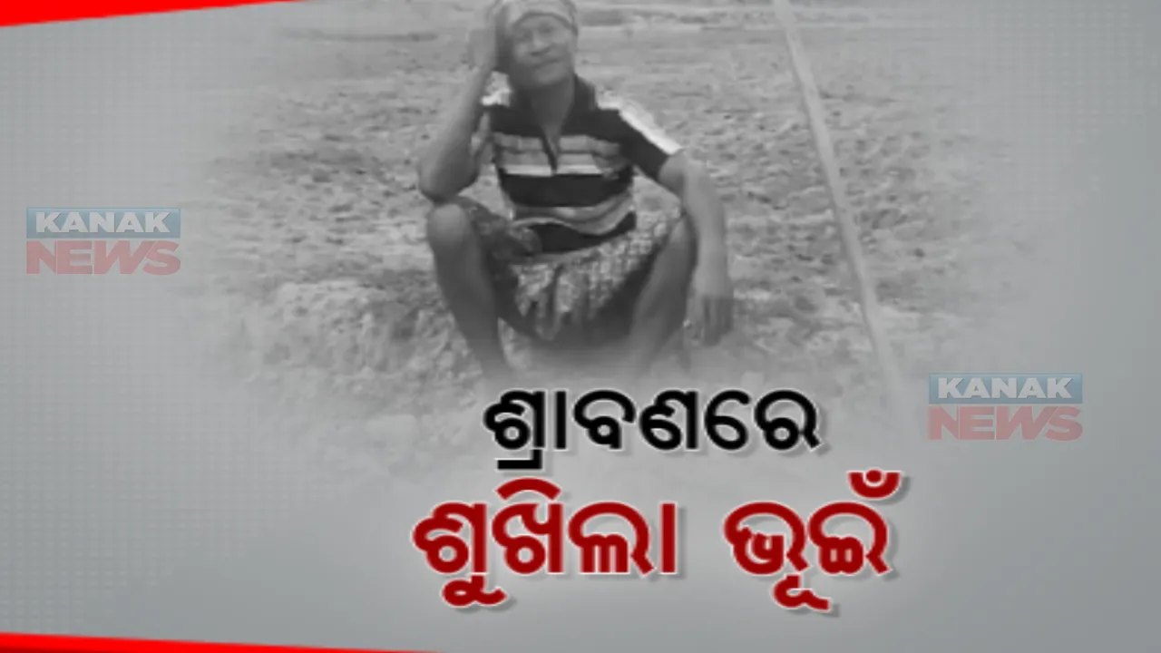  ଶ୍ରାବଣରେ ଶୁଖିଲା ପଡିଛି ଭୂଇଁ: ନୟାଗଡରେ ପାଣି ଅଭାବରୁ ଶୁଖିଗଲାଣି ତଳି ବିଲ 