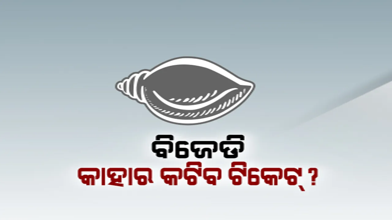  ୨୦୨୪ ନିର୍ବାଚନରେ କାହାକୁ ଟିକେଟ୍ ଦେବ ବିଜେଡି ! ଏବେଠୁ ଆରମ୍ଭ ହେଲାଣି ଅଙ୍କକଷା, ବୟସ୍କ ନେତାଙ୍କ କଟିପାରେ ଟିକେଟ୍