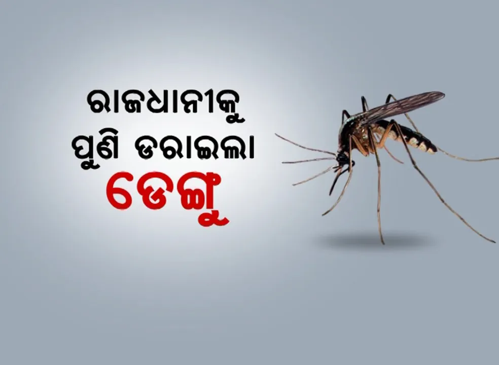  ରାଜଧାନୀକୁ ପୁଣି ଡରାଇଲା ଡେଙ୍ଗୁ। ନୂଆ ହଟସ୍ପଟ ପାଲଟିଲା ୩ ଅଞ୍ଚଳ