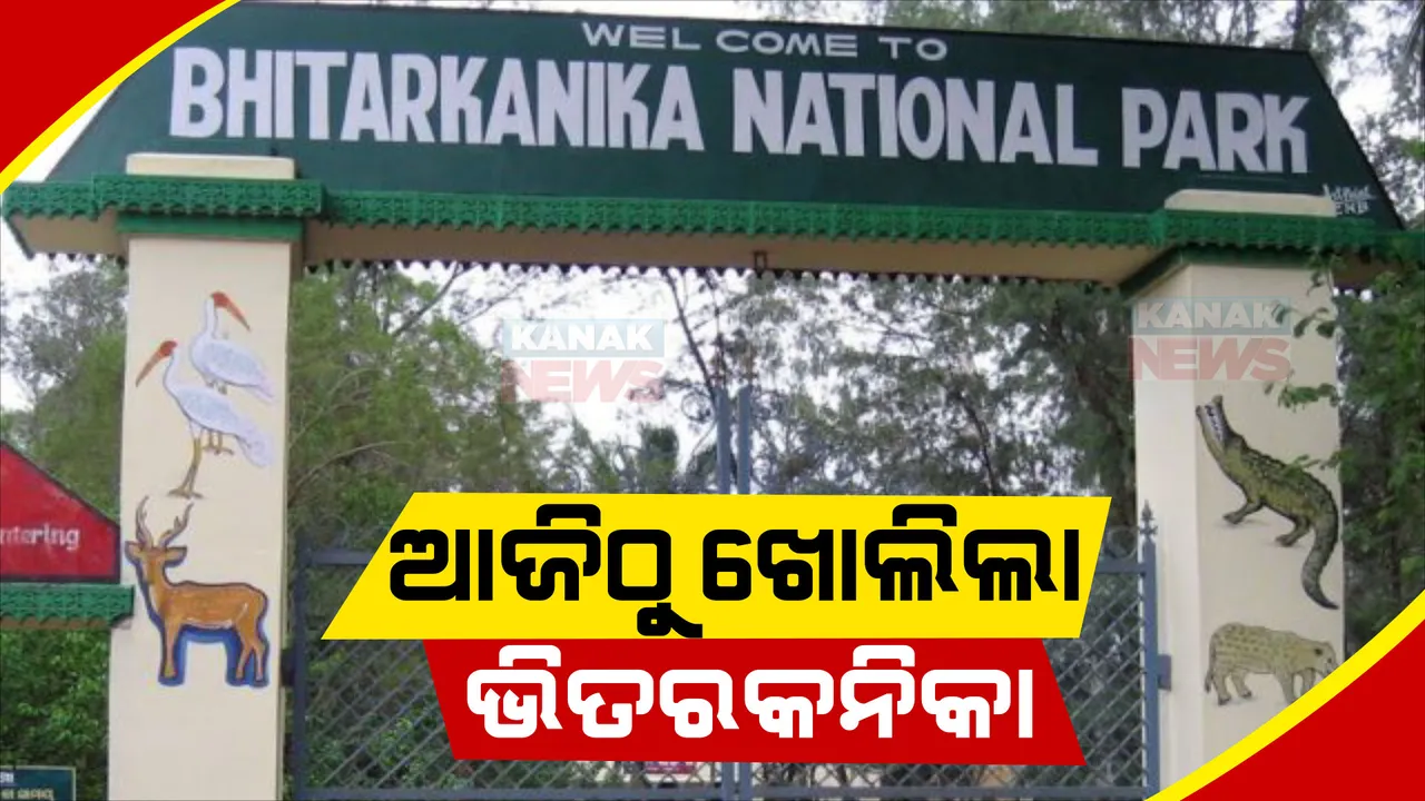  ପର୍ଯ୍ୟଟକଙ୍କ ପାଇଁ ଖୁସି ଖବର, ଆଜିଠୁ ଖୋଲିଲା ଭିତରକନିକା । ଜାଣନ୍ତୁ କେଉଁ ବାଟ ଦେଇ ଜାତୀୟ ଉଦ୍ୟାନକୁ ଯାଇପାରିବେ ପର୍ଯ୍ୟଟକ?