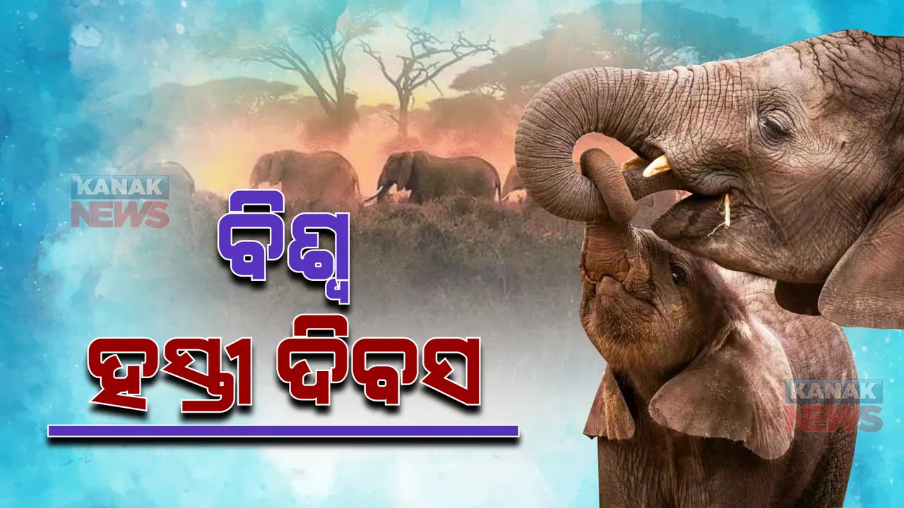  ଆଜି ବିଶ୍ୱ ହାତୀ ଦିବସ : ନନ୍ଦନକାନନ ପ୍ରାଣୀ ଉଦ୍ୟାନରେ ସ୍ୱତନ୍ତ୍ର କାର୍ଯ୍ୟକ୍ରମ