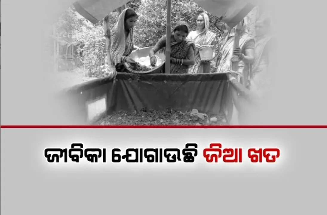  ଜୀବିକା ଯୋଗାଉଛି ଜିଆ ଖତ। ଖତ ବିକି ଗାଁର ୮୨ ଘର ଲକ୍ଷପତି