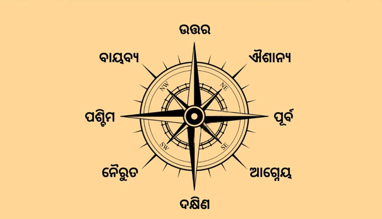  ଘରର ଦକ୍ଷିଣ ଦିଗରେ ଏହିସବୁ ଜିନିଷ ରଖୁଛନ୍ତି କି  ??