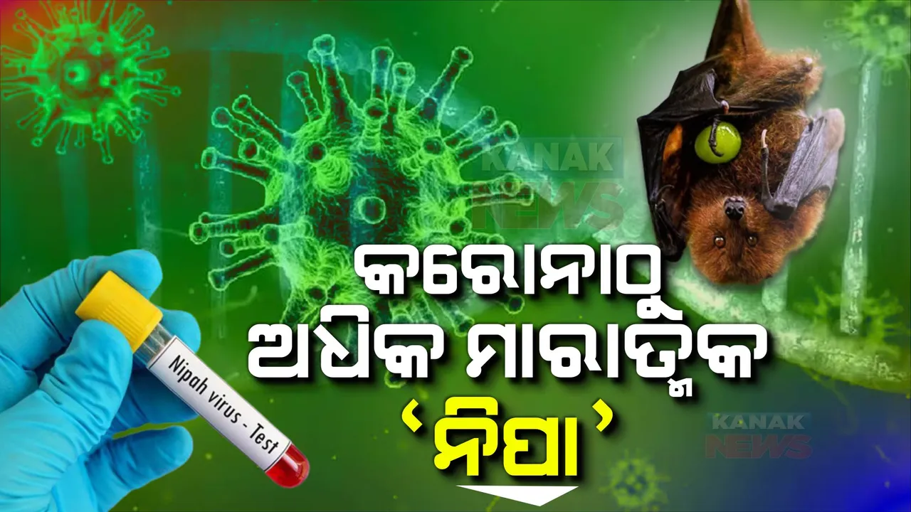  କରୋନାଠୁ ମାରାତ୍ମକ ନିପା ଭାଇରସ