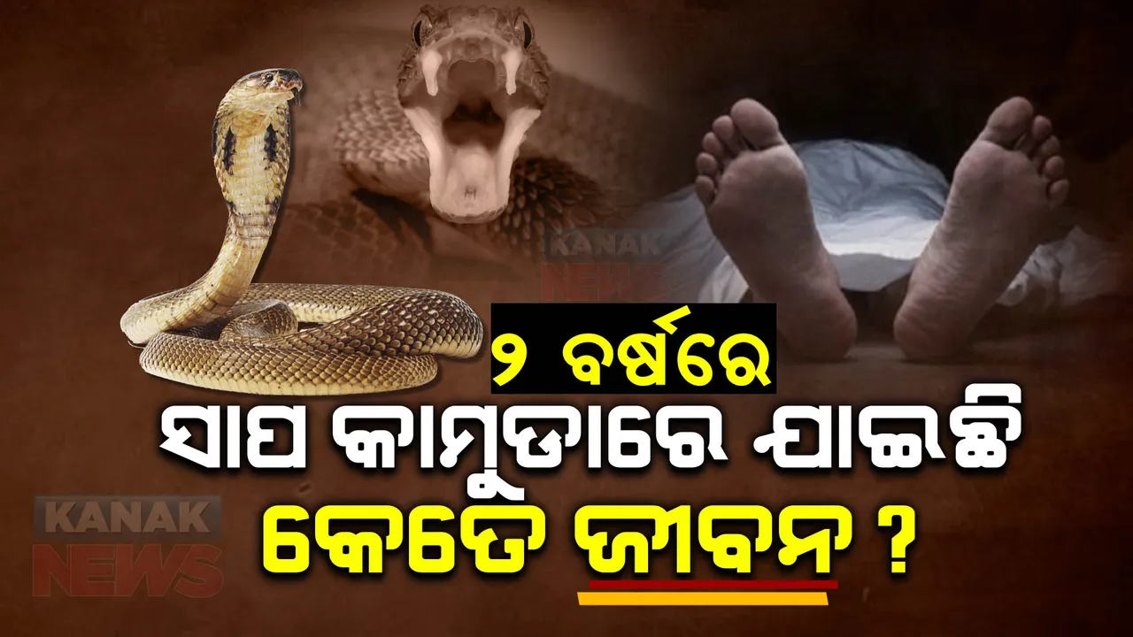  ଗତ ୨ ବର୍ଷରେ ସାପ କାମୁଡାରେ ଯାଇଛି କେତେ ଜୀବନ, ଅନୁକମ୍ପାମୂଳଳ ସହାୟତା ରାଶି ବାବଦକୁ କେତେ ଟଙ୍କା ଦିଅନ୍ତି ସରକାର? ଗୃହରେ ଉତ୍ତର ରଖିଲେ ବିଭାଗୀୟ ମନ୍ତ୍ରୀ ।