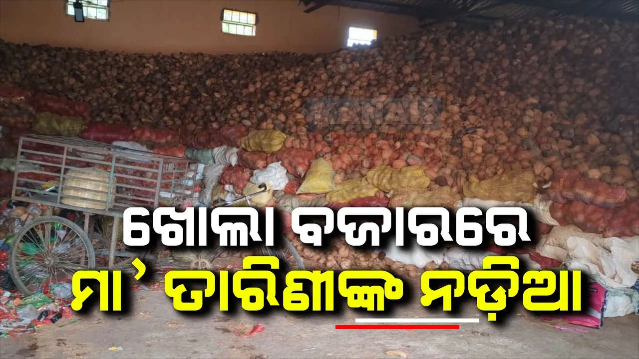  ଖୋଲା ବଜାରରେ ମା' ତାରିଣୀଙ୍କ ନଡିଆ