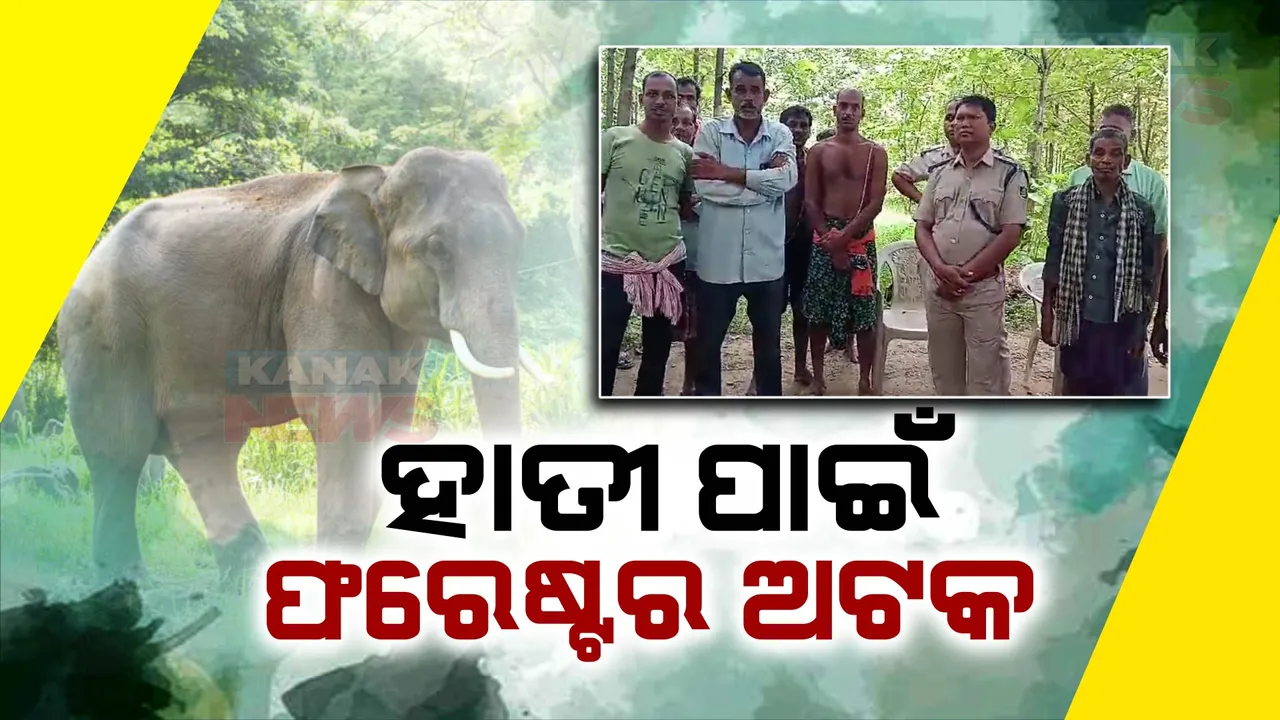  ହାତୀ ପାଇଁ ଫରେଷ୍ଟର ଅଟକ