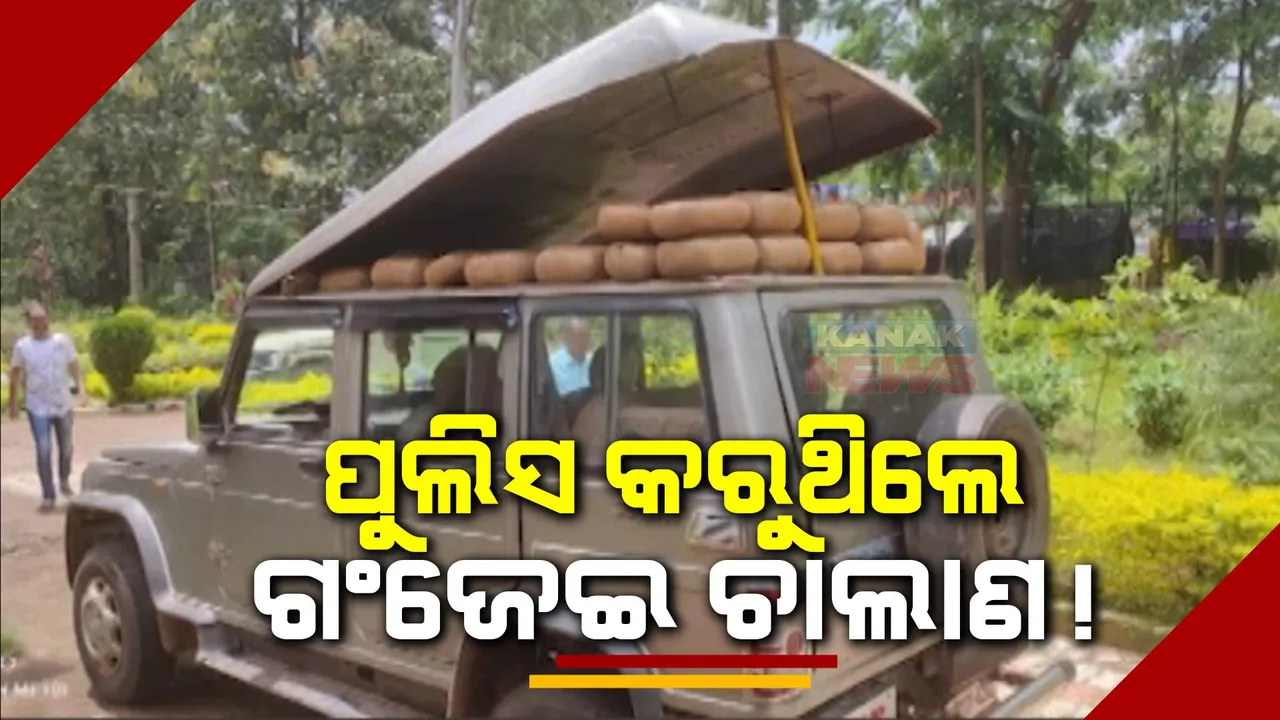  ଗଂଜେଇ ଚୋରା ଚାଲାଣ ଅଭିଯୋଗରେ ପୁଲିସକୁ ବାନ୍ଧିଲା ପୁଲିସ: ତରଭା ଥାନା ହାବିଲଦାର ବିଜୟ ସାହୁଙ୍କ ସମେତ ୬ ଜଣ ଗିରଫ
