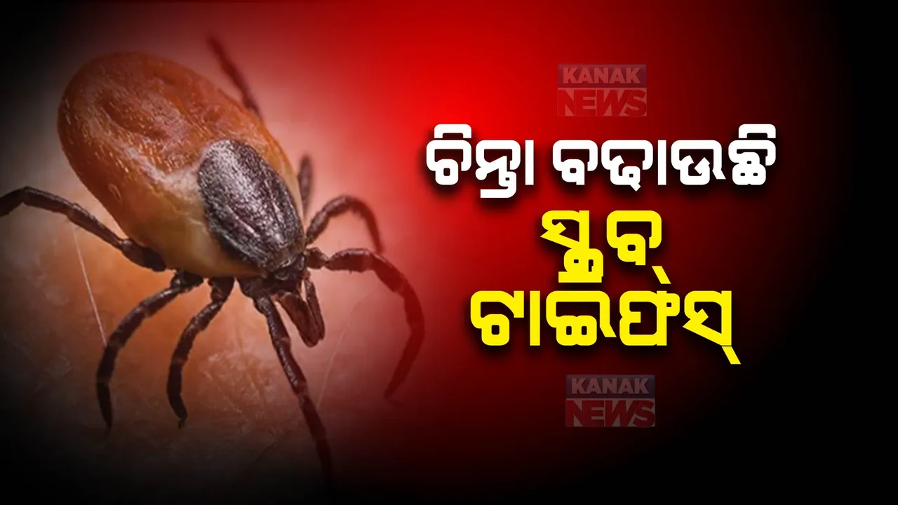  ଚିନ୍ତା ବଢାଉଛି ସ୍କ୍ରବ୍ – ଟାଇଫସ୍ । ଦିନକରେରେ ସୁନ୍ଦରଗରେ ୧୦ ଜଣ ପଜିଟିଭ ଚିହ୍ନଟ, ଏପର୍ଯ୍ୟନ୍ତ ସଂକ୍ରମିତ ହେଲେଣି ୧୯୩ ଜଣ ବ୍ୟକ୍ତି