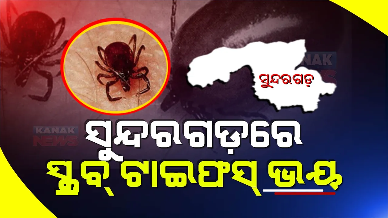  ସୁନ୍ଦରଗଡ଼କୁ ଘାରିଛି ସ୍କ୍ରବ୍ ଟାଇଫସ୍ ଭୟ । ଜିଲ୍ଲାରେ ଆଉ ୧୧ ପଜିଟିଭ୍ ଚିହ୍ନଟ, ୧୮୦ରେ ପହଞ୍ଚିଲା ଆକ୍ରାନ୍ତଙ୍କ ସଂଖ୍ୟା