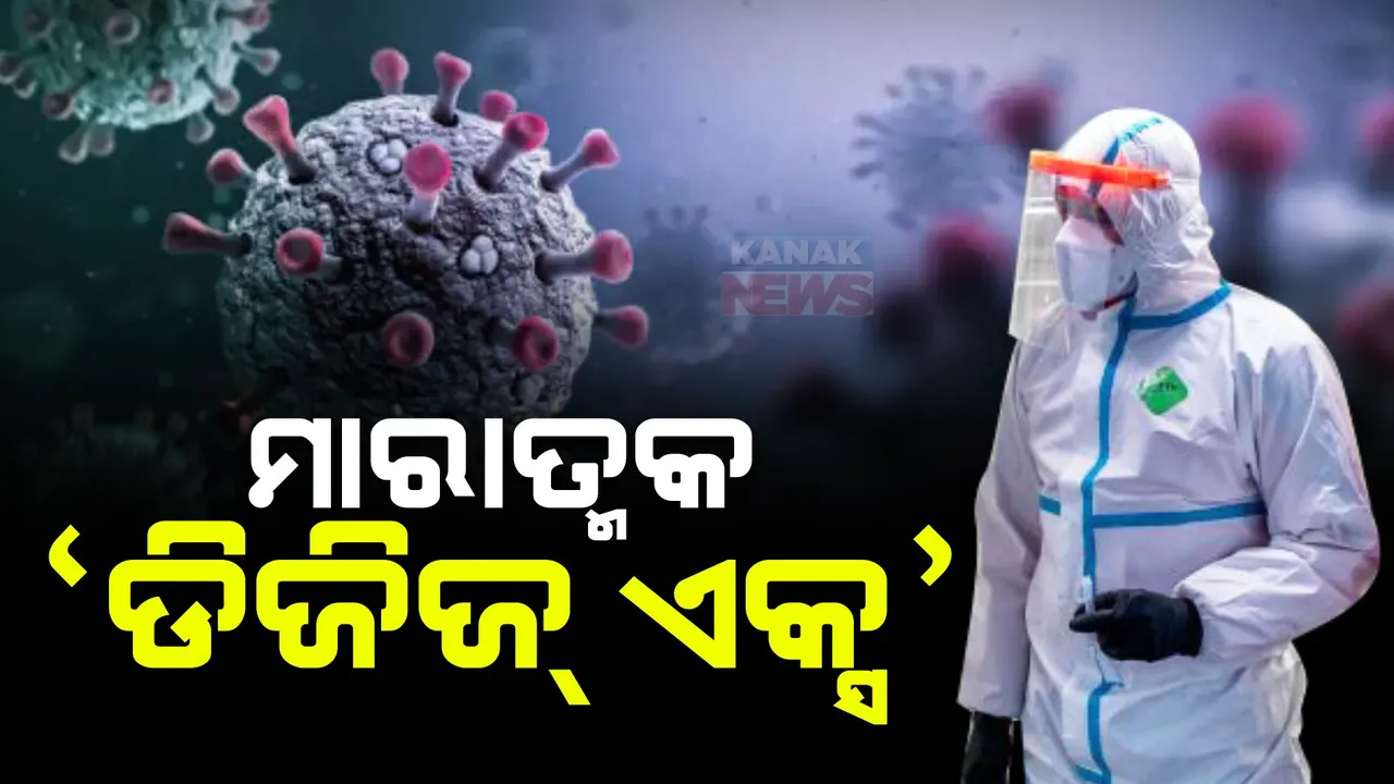  ଆଗକୁ କରୋନାଠୁ ବି ଭୟଙ୍କର ମହାମାରୀ ଦେଖିବ ବିଶ୍ୱ : କୋଭିଡ୍-୧୯ଠାରୁ ୭ ଗୁଣା ଅଧିକ ମାରାତ୍ମକ ଓ ସଂକ୍ରାମକ ହୋଇପାରେ ‘ଡିଜିଜ୍ ଏକ୍ସ’