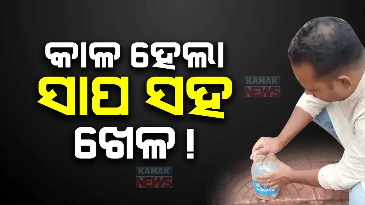  ସାପ ସହ ଖେଳ ହେଲା କାଳ : କାବୁ କରି ପ୍ଲାଷ୍ଟିକ୍ ଡବାରେ ପୁରାଇଲା ବେଳେ ଚୋଟ ମାରିଲା ନାଗ