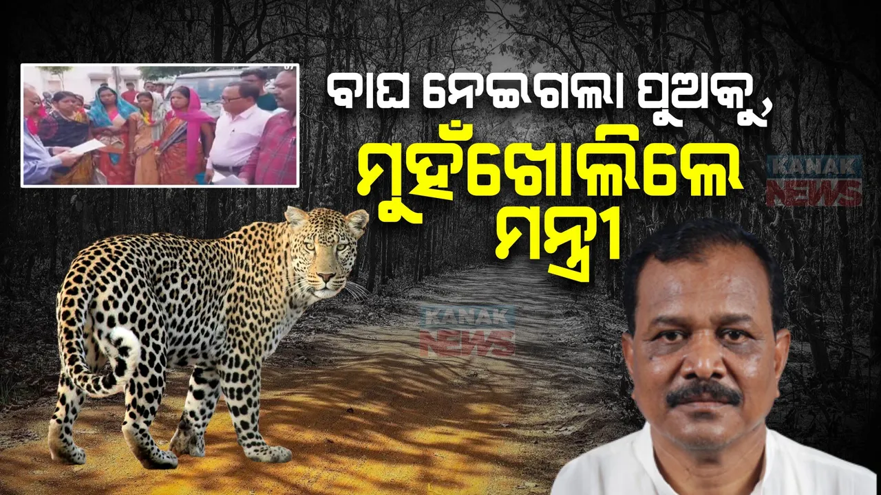  ନୂଆପଡ଼ା କଟିଙ୍ଗପାଣି ଅଂଚଳରେ ବାଘ ଆତଙ୍କ: ୬ବର୍ଷର ପୁଅକୁ ମାରିବା ଓ ଗୁହାଳରୁ ଗାଇକୁ ଘୋଷାରି ନେବା ପରେ କୋକୁଆ ଭୟ