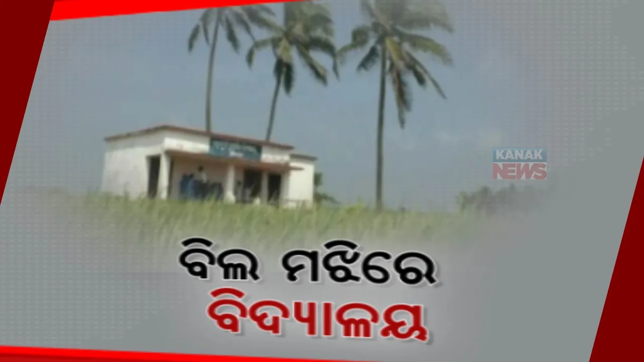  ୪୩ ବର୍ଷ ହେଲା ବିଲ ମଝିରେ ଚାଲିଛି ବିଦ୍ୟାଳୟ: ରାସ୍ତା ନଥିବାରୁ ଧାନ ବିଲ ହୁଡାରେ ଯିବା ଆସିବା କରୁଛନ୍ତି କୁନି କୁନି ଛାତ୍ରଛାତ୍ରୀ