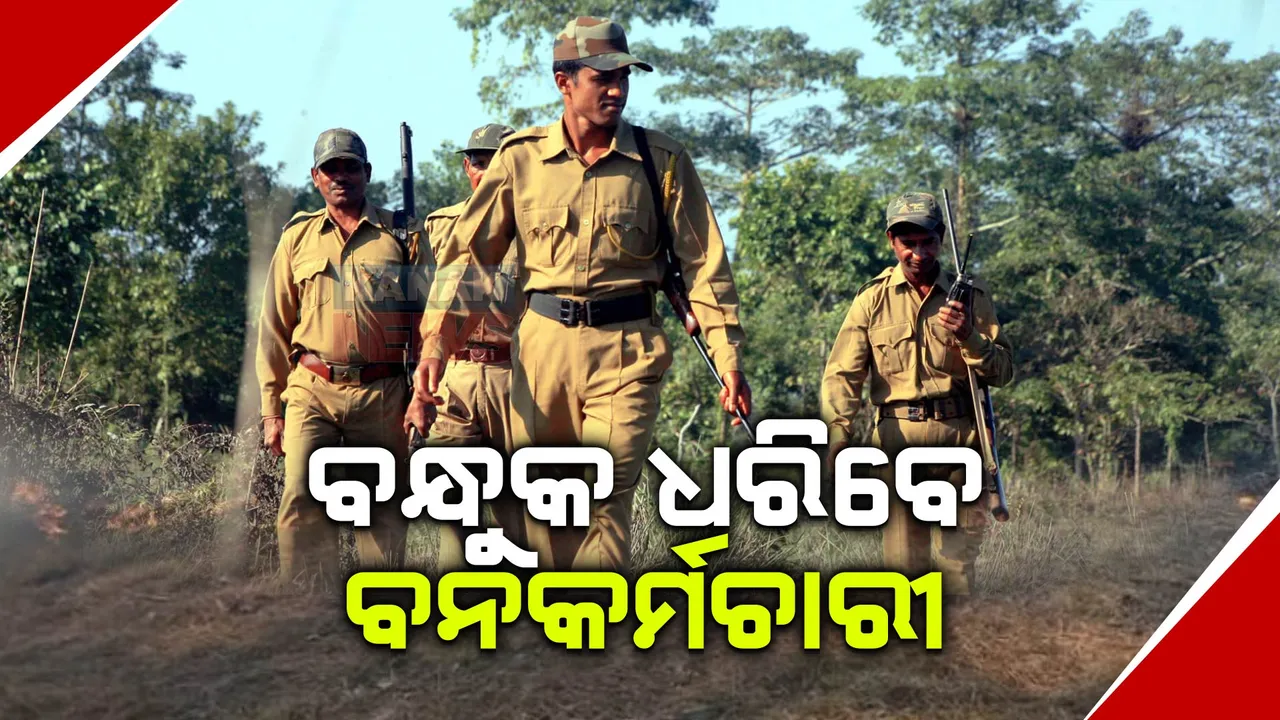 ବାଡି ଛାଡି ବନ୍ଧୁକ ଧରିଲେ ବନ କର୍ମଚାରୀ: ଶିକାରୀଙ୍କୁ ଦିଆଯିବ କଡ଼ା ଜବାବ, ସୁରକ୍ଷିତ ରହିବେ ବନ୍ୟଜନ୍ତୁ!