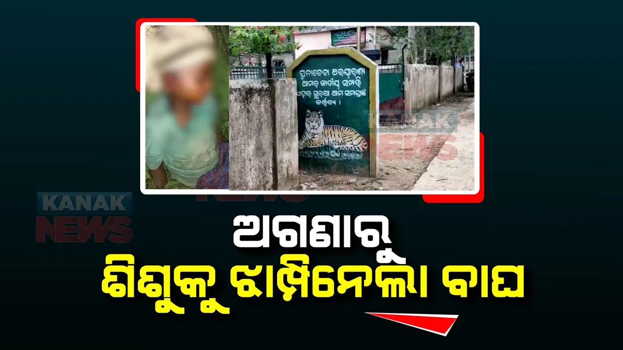  ୮ ବର୍ଷର ଶିଶୁକୁ ଝାମ୍ପି ନେଲା କଲରାପତରିଆ ବାଘ । ପିଲାଙ୍କ ସହ ଅଗଣାରେ ଖେଳୁଥିବା ବେଳେ ଶିଶୁକୁ ଉଠାଇନେଲା ବାଘ । ନୂଆପଡା କଟିଙ୍ଗପାଣି ଗାଁର ଘଟଣା