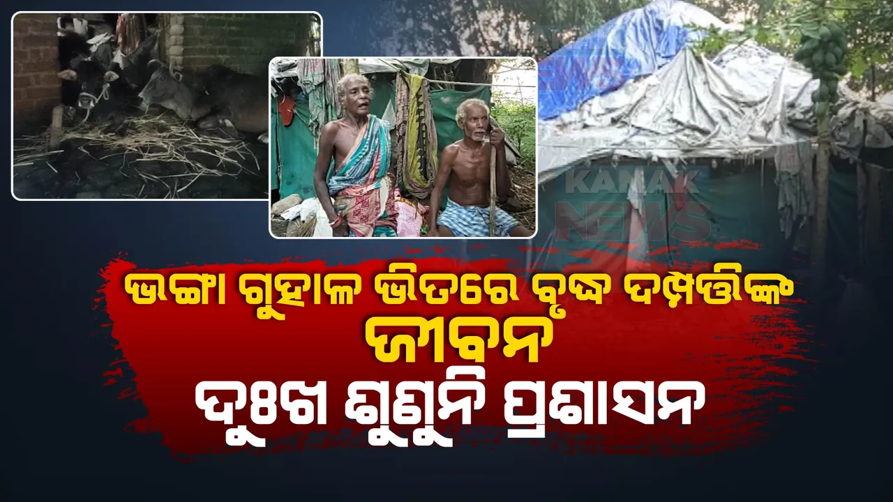  ଗୁହାଳ ଘରେ ୫୦ ବର୍ଷ ଧରି ବୃଦ୍ଧ ଦମ୍ପତ୍ତି । ଘର ଖଣ୍ଡେ ପାଇଁ ଦୁଃଖ ଶୁଣୁନି ପ୍ରଶାସନ