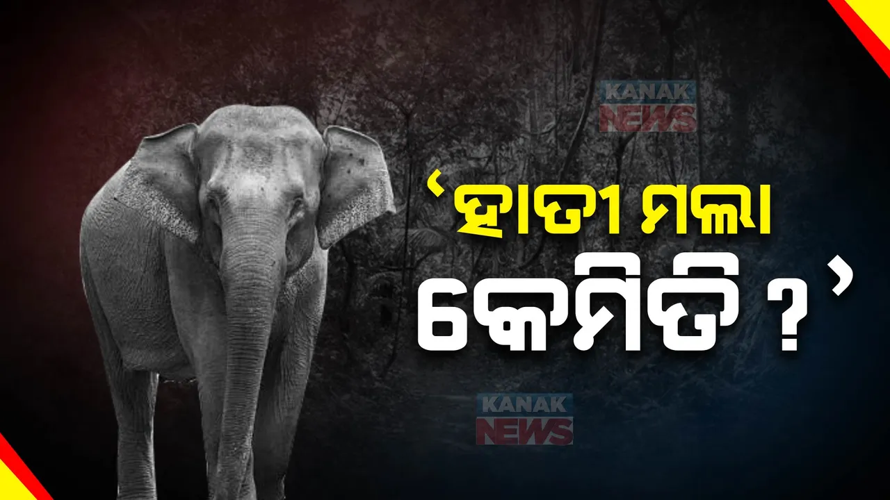  ରେଳ ଧାରଣାରେ କେମିତି ମଲା ହାତୀ । ରେଳ ବିଭାଗର ଆସିଷ୍ଟାଂଡ ଇଂଜିନିୟର ଅପରେସନ୍ ଖୋର୍ଦ୍ଧା ଡିଭିଜନକୁ କାରଣ ଦର୍ଶାଅ ନୋଟିସ