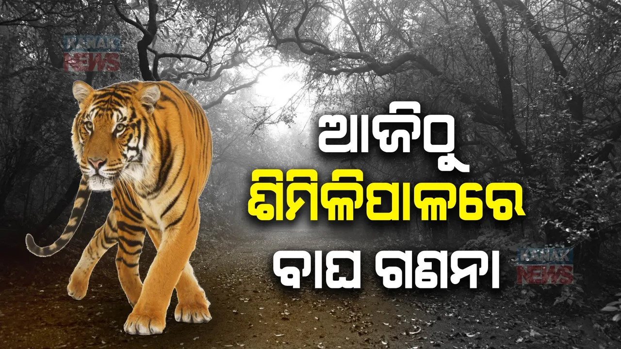  ଆଜିଠୁ ଶିମିଳିପାଳରେ ବନ୍ୟପ୍ରାଣୀଙ୍କ ଗଣନା : ବାଘ ସମେତ ବିଭିନ୍ନ ପ୍ରଜାତିର ବନ୍ୟପ୍ରାଣୀ ଓ ପକ୍ଷୀଙ୍କର ହେବ ଗଣନା; ଲାଗିଛି ୪୫୦ରୁ ଅଧିକ ଟ୍ରାପ କ୍ୟାମେରା