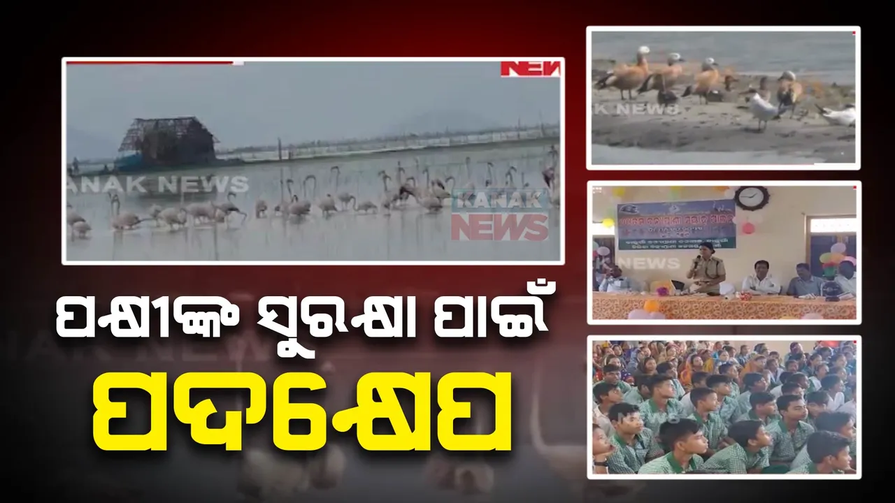  ଅତିଥି ପକ୍ଷୀଙ୍କ ସୁରକ୍ଷା ପାଇଁ ଗ୍ରାମବାସୀଙ୍କ ନିଆରା ପଦକ୍ଷେପ : ଚିଲିକାରେ କେହି ମାରିବେନି ପକ୍ଷୀ; ଶିକାର କଲେ ୧୦ ହଜାର ଟଙ୍କାର ଜରିମାନା