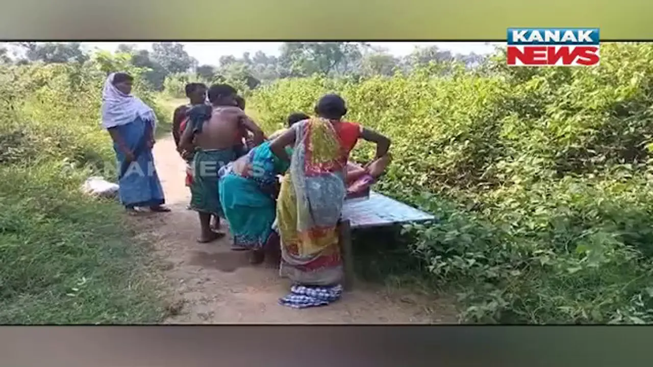  ବିଲ ଡିହରେ ପ୍ରସବ କଲେ ଗର୍ଭବତୀ : ଗାଁକୁ ରାସ୍ତା ନାହିଁ ବୋଲି ଯାଇ ପାରିଲାନି ଆମ୍ବୁଲାନ୍ସ