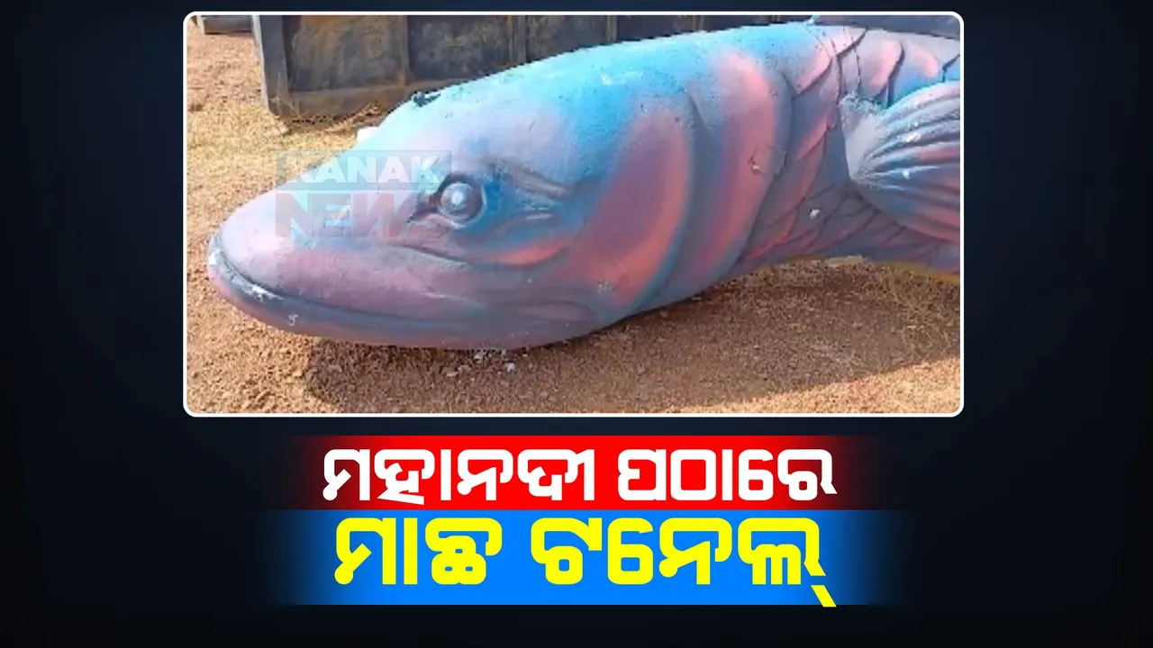  ମହାନଦୀ ପଠାରେ ଦର୍ଶକଙ୍କ ମନ ଜିଣିବ ମାଛ ଟନେଲ । ବାଲିଯାତ୍ରାରେ ଟନେଲ୍ ଫିସ୍ ଆକ୍ୱାରିୟମରେ ବୁଲିବେ ଲୋକ