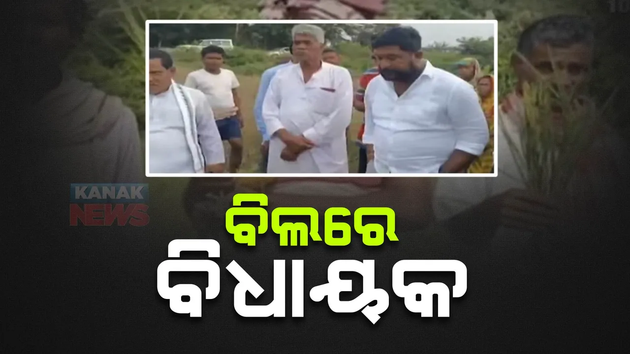  ସାନଖେମୁଣ୍ଡିରେ ପଡିଆ ପଡିଛି ଚାଷ ଜମି । ବିଲରେ ପଶି ସ୍ଥିତି ଅନଧ୍ୟାନ କଲେ ସାନଖେମୁଣ୍ଡି ବିଧାୟକ