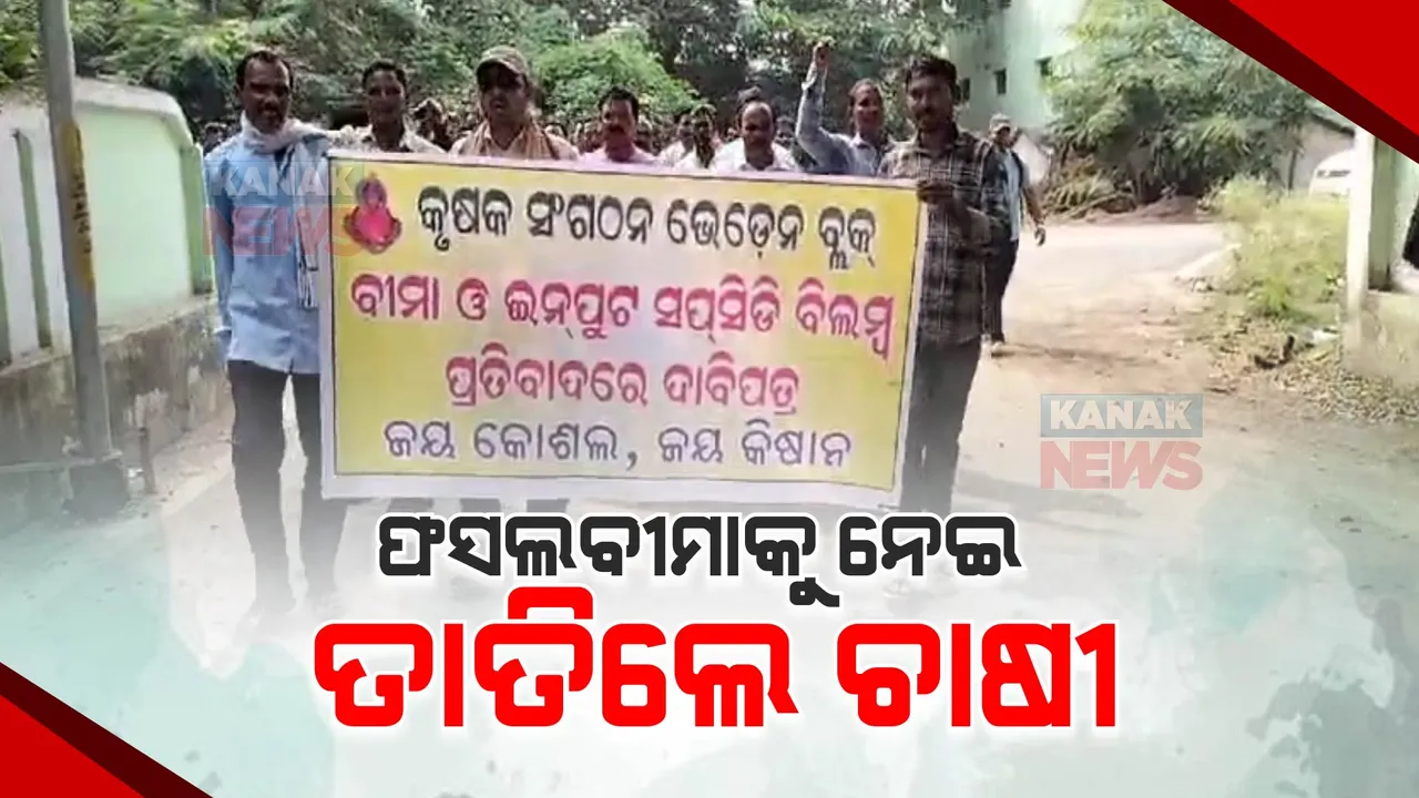 ବରଗଡରେ ପୁଣି ତେଜିଲା ଚାଷୀ ଆନ୍ଦୋଳନ: ଫସଲବୀମା ଓ ଇନପୁଟ୍ ସବସିଡିକୁ ନେଇ ଜିଲ୍ଲାପାଳଙ୍କ ଅଫିସ୍ ଆଗରେ ଧାରଣା ଦେଲେ ଶତାଧିକ ଚାଷୀ