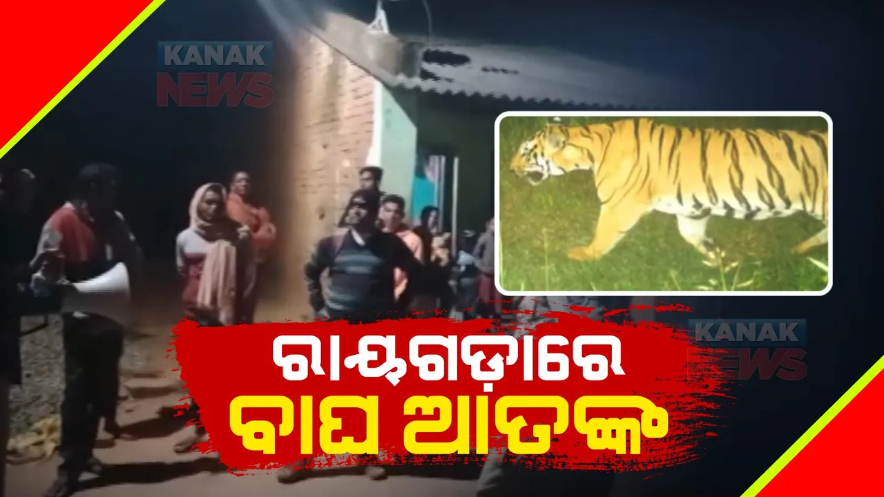  ଗଜପତି ପରେ ରାୟଗଡାରେ ବାଘ ଆତଙ୍କ । ନିଜେ ସୁରକ୍ଷିତ ରହିବା ସହ ଗୃହପାଳିତ ପଶୁଙ୍କୁ ଜଂଗଲକୁ ନଛାଡିବାକୁ ବନବିଭାଗର ପରାମର୍ଶ ।